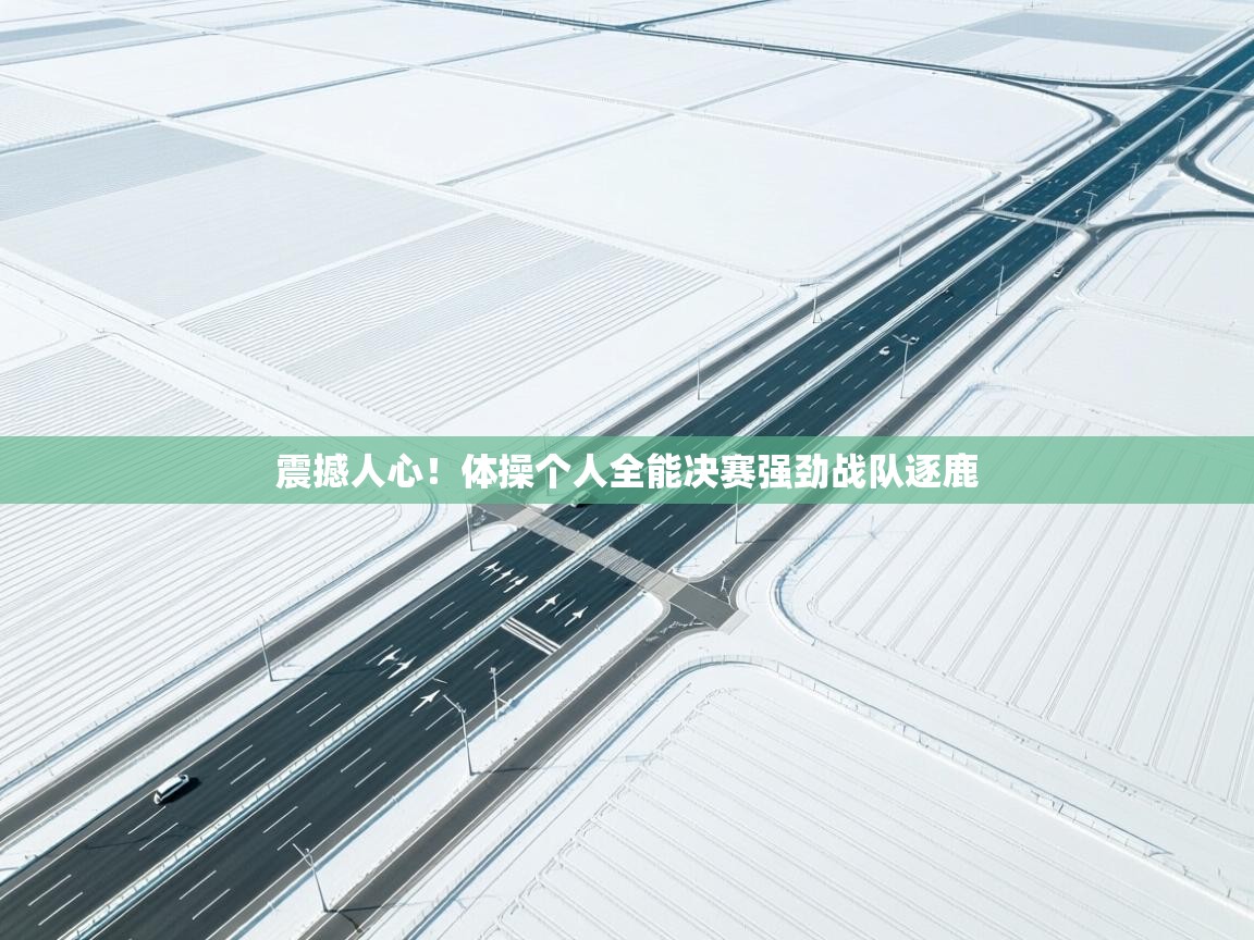 震撼人心！体操个人全能决赛强劲战队逐鹿